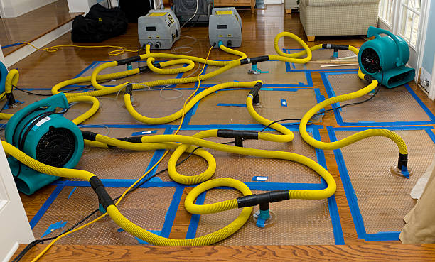 Professional Flood Damage Restoration technician working in Reedsville, WV