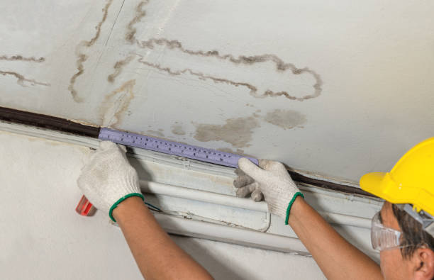 Affordable Water Damage Repair solutions in Reedsville, WV